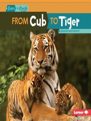 cover image of From Cub to Tiger